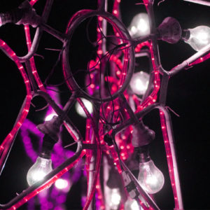 Merry Christmas Star Lights HD Wallpaper
