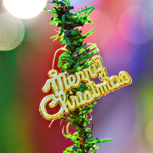 Merry-Christmas-Photo